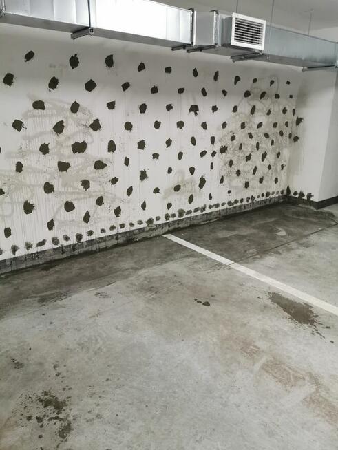 osuszanie odgrzybianie iniekcja krystaliczna KATOWICE okolic