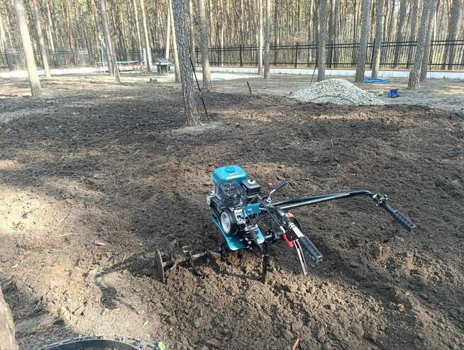 Profesjonalne Usługi Ogrodnicze | Trawniki, Przycinanie,