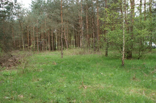 Sprzedam działkę rekreacyjną 29a w Czerwonej Woli, Sieniawa