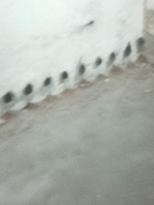 osuszanie budynków iniekcją krystaliczną Gdańsk olice