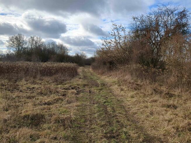 1/9 udziału w nieruchomości od Syndyka - Dębina - 295