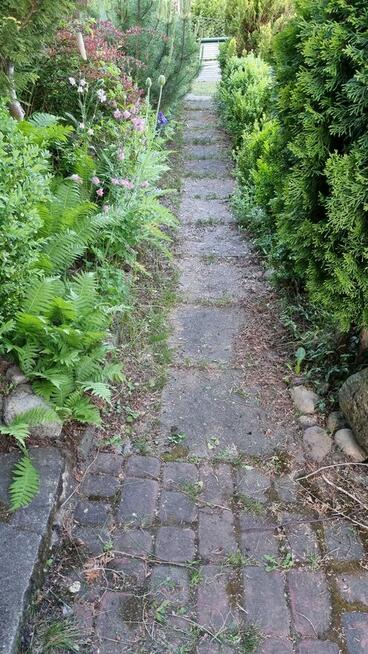 Działka ogrodnicza ROD Tuchomek (Warzenko), pow. ~300m2