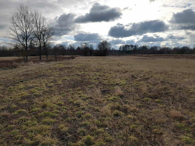 1/9 udziału w nieruchomości od Syndyka - Dębina - 295