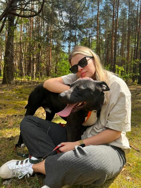 Kali - wychowany, domowy TTB mix szuka domu!