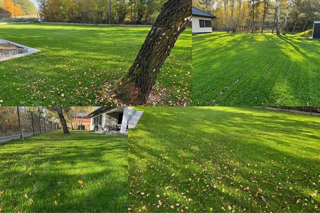 Zakładanie ogrodów Usługi ogrodnicze - Nawodnienia