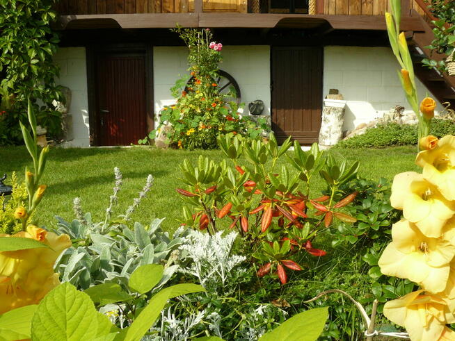 Działka ogrodnicza ROD Tuchomek (Warzenko), pow. ~300m2