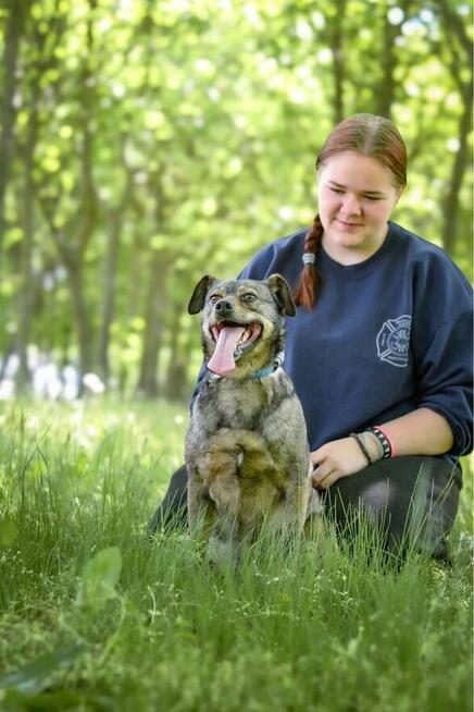 Lola-delikatna filigranowa suczka czeka na wyrozumialy dom