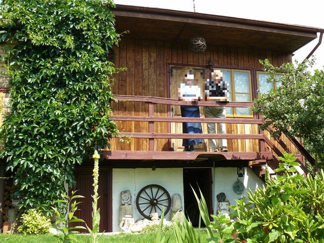 Działka ogrodnicza ROD Tuchomek (Warzenko), pow. ~300m2