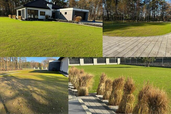 Zakładanie ogrodów Usługi ogrodnicze - Nawodnienia