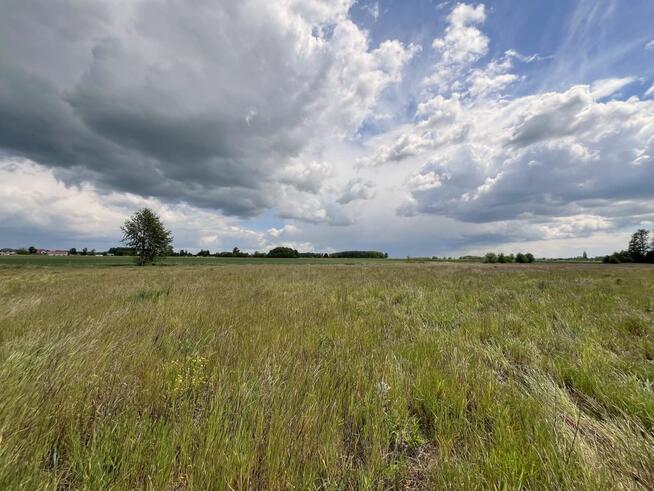 Działka budowlana Miłkowice, Południowa