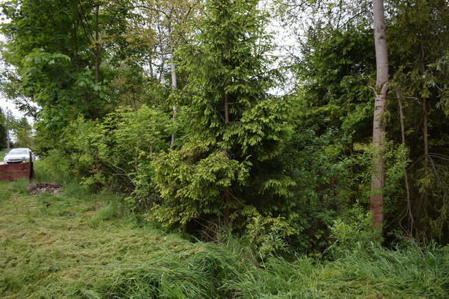 Działka pod zabudowę 13a - Hucisko Jawornickie