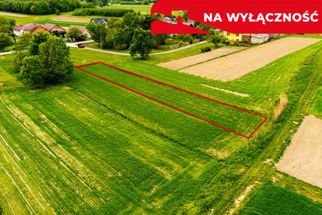 Działka rolna w Łukowej!