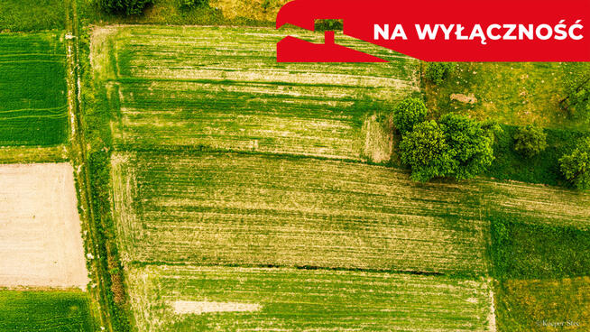 Działka rolna w Łukowej!
