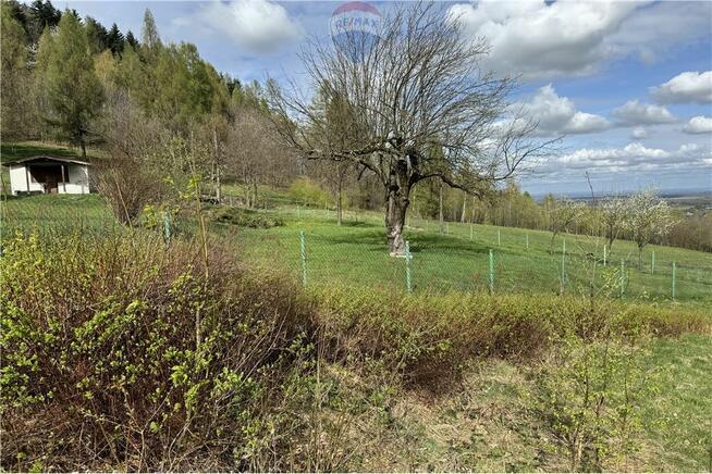 Działka leśna w górach, idealna na wypoczynek.