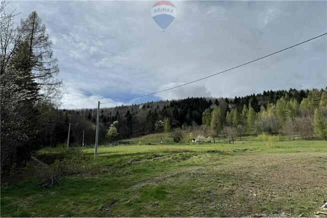 Działka leśna w górach, idealna na wypoczynek.