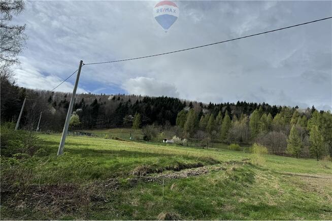 Działka leśna w górach, idealna na wypoczynek.