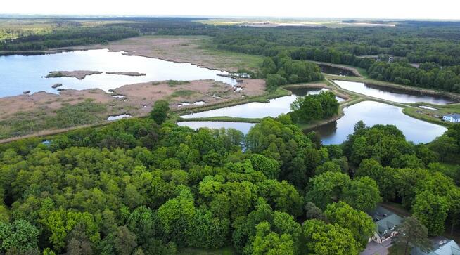 Sosnowica działka budowlana / rekreacyjna, Gm. Sos