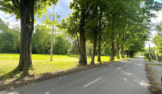 Sosnowica działka budowlana / rekreacyjna, Gm. Sos