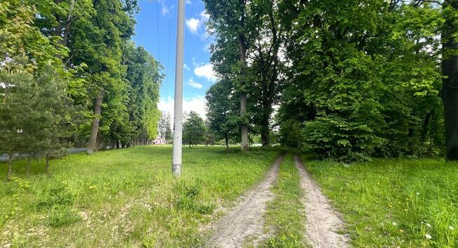 Sosnowica działka budowlana / rekreacyjna, Gm. Sos