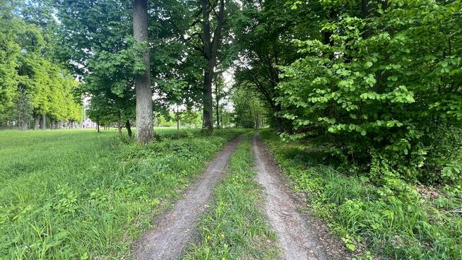 Sosnowica działka budowlana / rekreacyjna, Gm. Sos