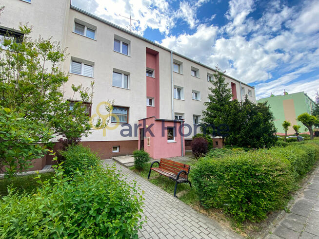 Mieszkanie Sulechów,