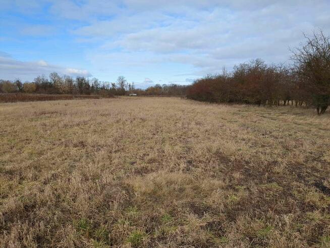 1/9 udziału w nieruchomości od Syndyka - Dębina - 295