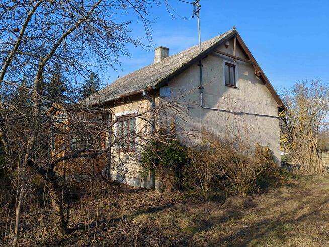 1/9 udziału w nieruchomości od Syndyka - Dębina - 248