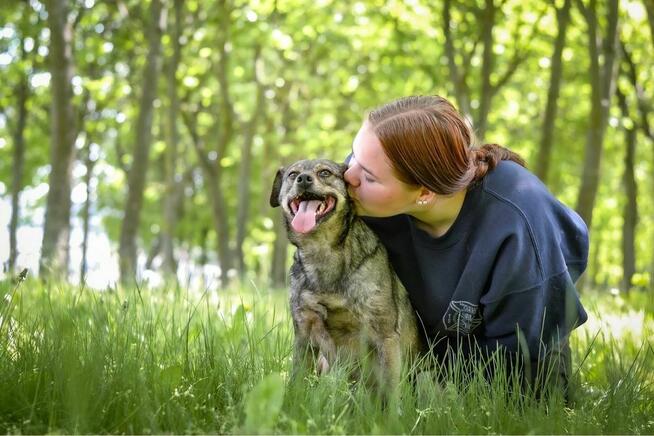 Lola-delikatna filigranowa suczka czeka na wyrozumialy dom