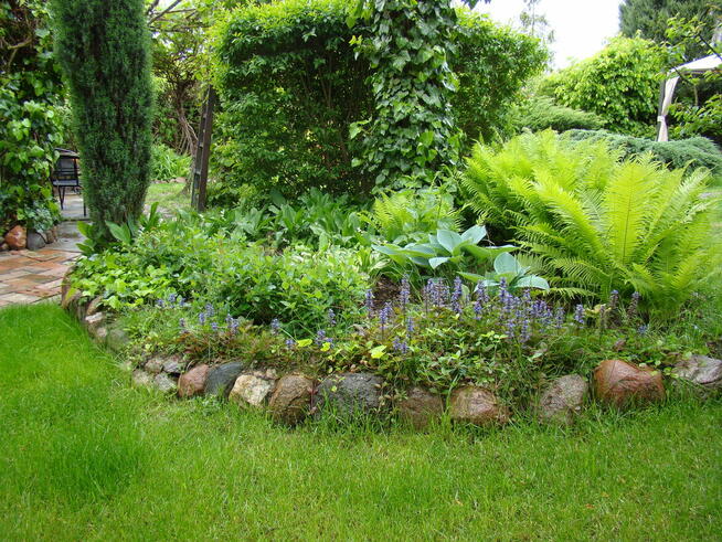 Sprzedam działkę ROD Ikar