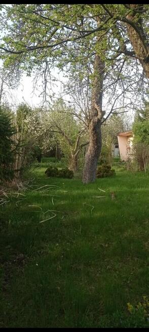 Sprzedam ogródek działkowy ROD Jedność Robotnicza w Bytomiu