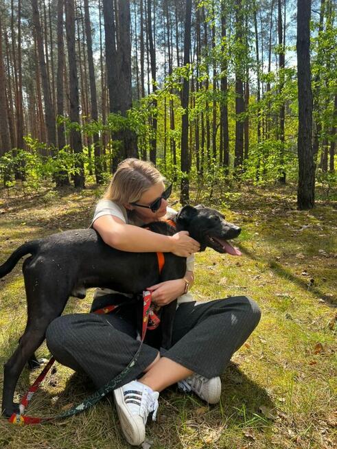 Kali - wychowany, domowy TTB mix szuka domu!