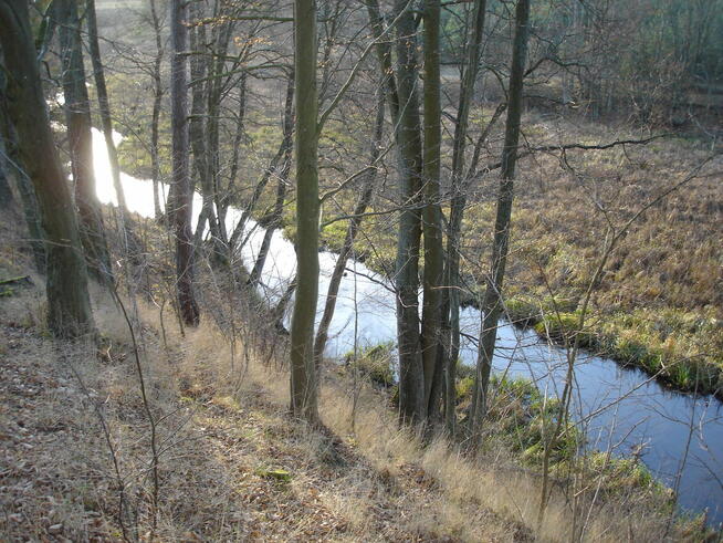 Wiejska posiadłość nad Wda w Borach Tucholskich