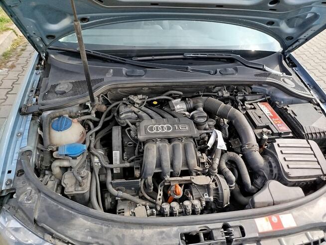 Audi A3 8p 1.6 B+G, 2008r, klima, nowy rozrząd, serwis zaw
