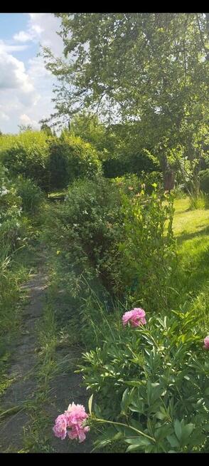 Sprzedam ogródek działkowy ROD Jedność Robotnicza w Bytomiu