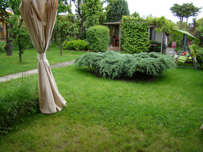 Sprzedam działkę ROD Ikar