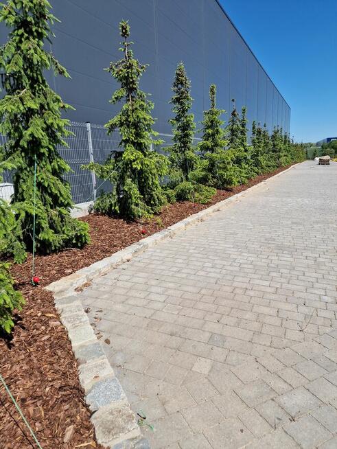 Jackowski GARDEN Łukasz Jackowski