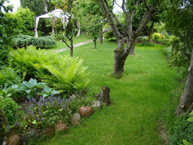 Sprzedam działkę ROD Ikar