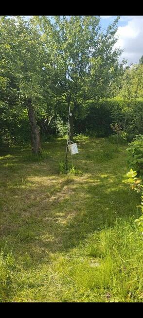 Sprzedam ogródek działkowy ROD Jedność Robotnicza w Bytomiu