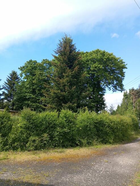 Sprzedam działkę zabudowaną.