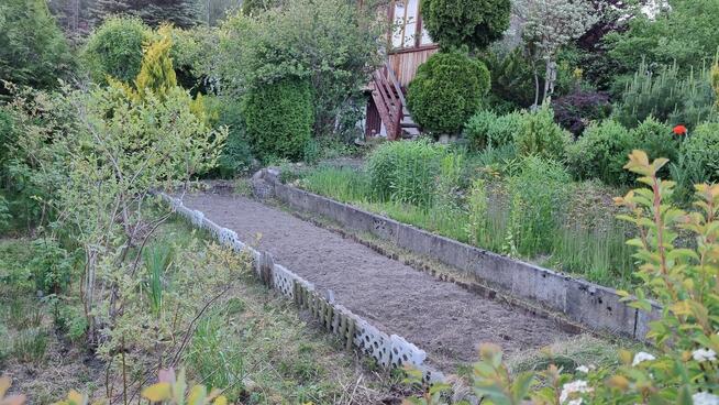 Działka ogrodnicza ROD Tuchomek (Warzenko), pow. ~300m2