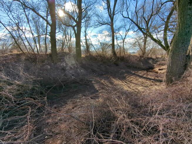 1/9 udziału w nieruchomości od Syndyka - Dębina - 95/1