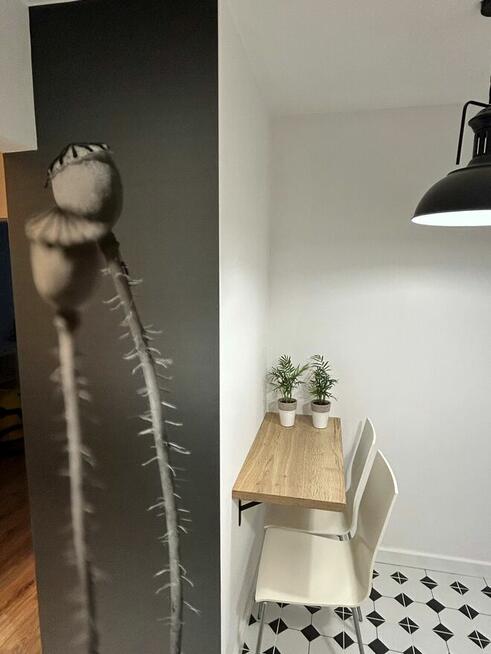 Mieszkanie 2 pokoje po generalnym remoncie