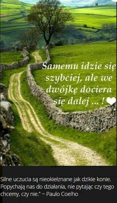 Szukam przyjaciółki.