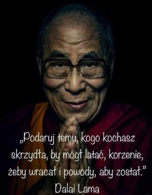 Szukam przyjaciółki.