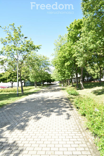 Słoneczne mieszkanie do własnej aranżacji.