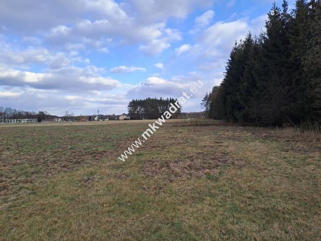 Budowlana, pod lasem, 8191 m2