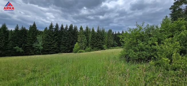 Działka rolna Skawa gm. Raba Wyżna