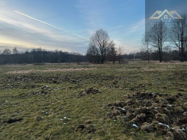 Działka rolna Perła gm. Dębno