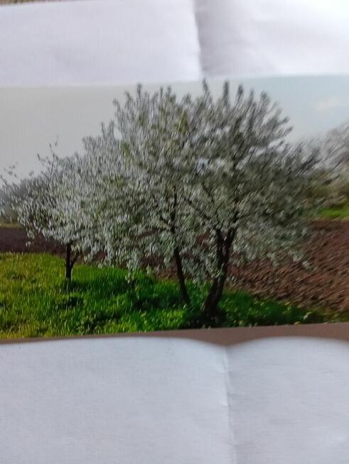 Sprzedam działkę z domem rekreacyjnym