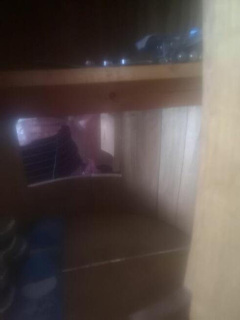 Sprzedam drewniany barek